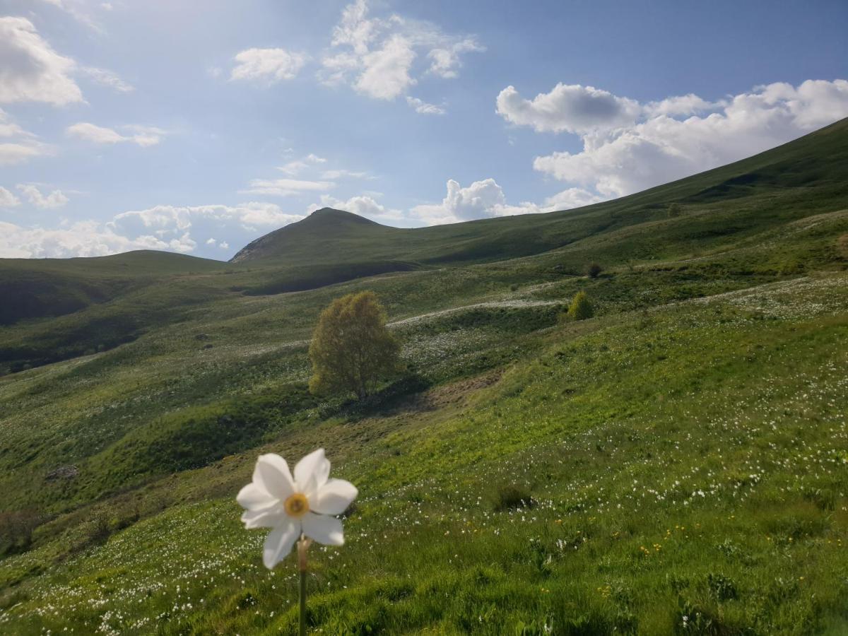 Appartement A La Montagne Villar-dʼArène المظهر الخارجي الصورة